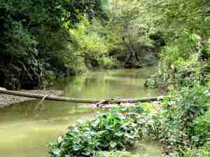 pozaricadehidalgowaterway