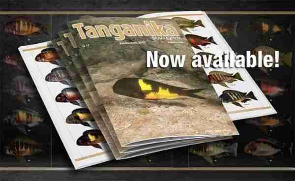 tangmag
