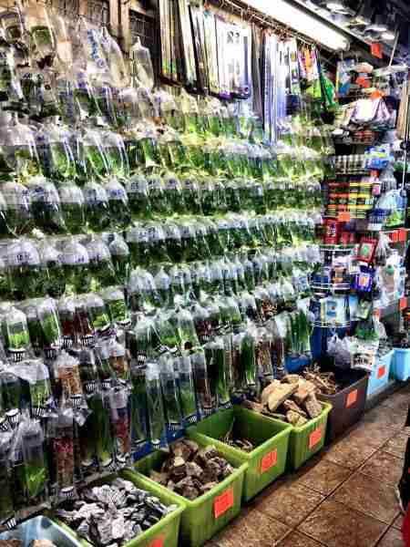 Hong Kong Fish Store