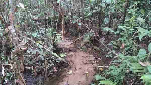 CAura habitat
