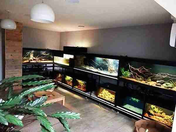 Fishroom Filed With Biotopes