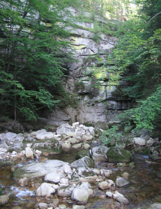Collecting Rocks