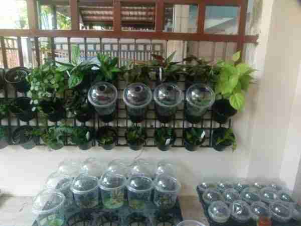 rackofcuttings