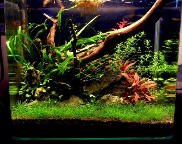 low tech low cost made easy