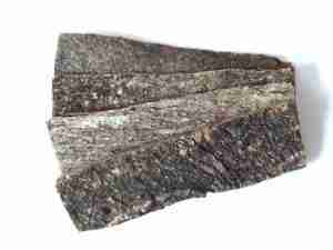 Catappa Bark
