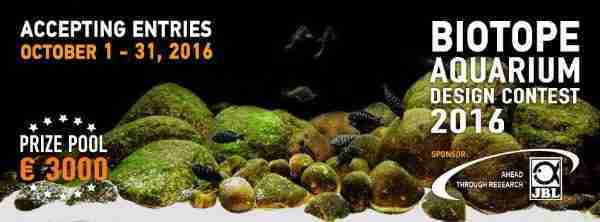Biotope Aquarium Design Contest 2016
