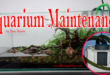 Maintenance Dan Harris