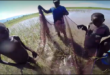 Hans van Heusden netting fish in Lake Rukwa, Tanzania.
