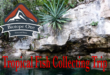 Hobbyist Collecting Trip