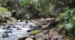 Photo Hendri Salsa