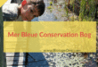 Mer Bleue Conservation Area Sphagnum Peat Bog