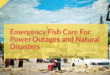 Caring for Fish Without Electricity