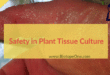 Safety in plant tissue culture.