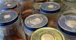 Plant Tissue Culture Materials Can be From Repurposed