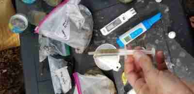 Biotope Habitat Collection Data Project