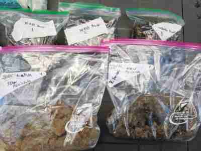 Biotope Habitat Collection Data Project