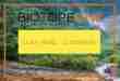 Donate a few dollars to the plant library tissue culture project.