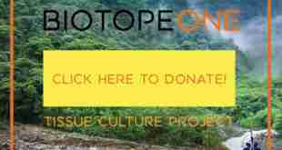 Donate a few dollars to the plant library tissue culture project.