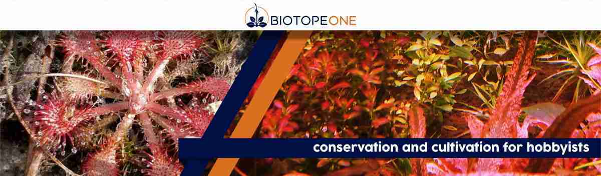 Biotope One